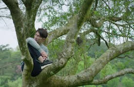 A Taiwanese Tale of Two Cities: Episode 11