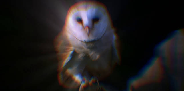 19:30: How Do Animals Do That? (S1 E2) (S1) | Animal Planet | 1/24 2026