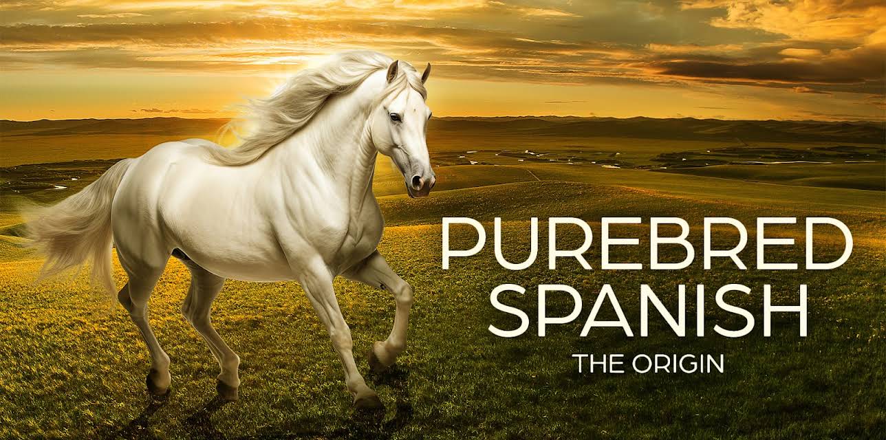 Purebred Spanish: The Origin (2024)