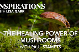 Inspirations Season 1: Paul Stamets on the Healing Power of Mushrooms