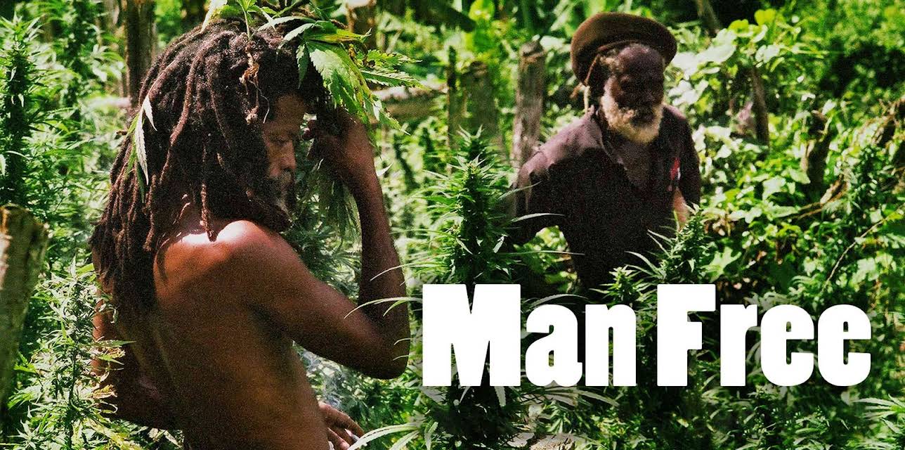 Man Free (2011)