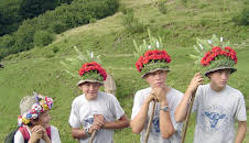 Almsommer