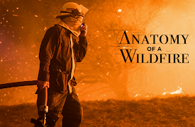Anatomy Of A Wildfire: Fire Through The Ages
