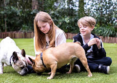 The Dog House Australia