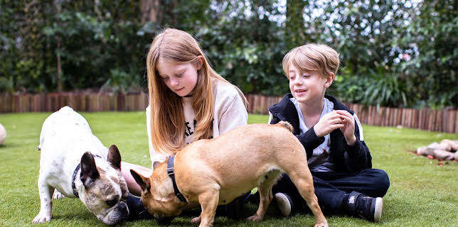 6:55 PM: The Dog House Australia | More 4 | 3/10 2026