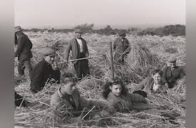 Alderney Season1: Alderney The Evacuation