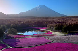 Japan From Above: From Snowland to Tokyo