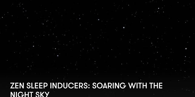 Zen Sleep Inducers: Soaring with the Night Sky (2024)