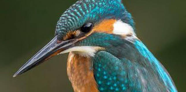 08:46: Bestioles en questions | TV5MONDE | 12/28 2025