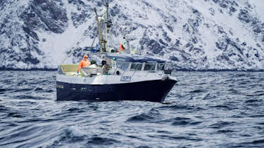 1:00 AM: Deadliest Catch (S18) | Discovery Channel | 8/7 2026
