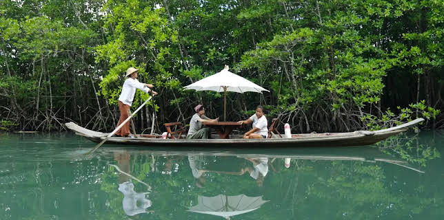 20:15: mareTV | Radio Bremen | 2/19 2026