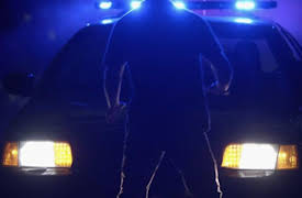 Under The Dome, Season 1: Thicker Than Water