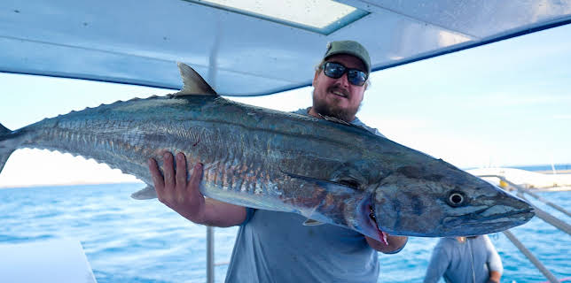 2:00 PM: Cape Carnage: Killer Catch (S1 E4) (S1) | Dave | 12/11 2025