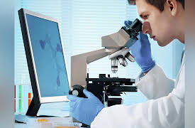 Thermodynamics: Four Laws That Move the Universe: Properties of Phases