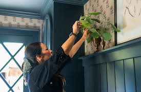 Mini Reni, Season 1: Moody Small Space Makeover