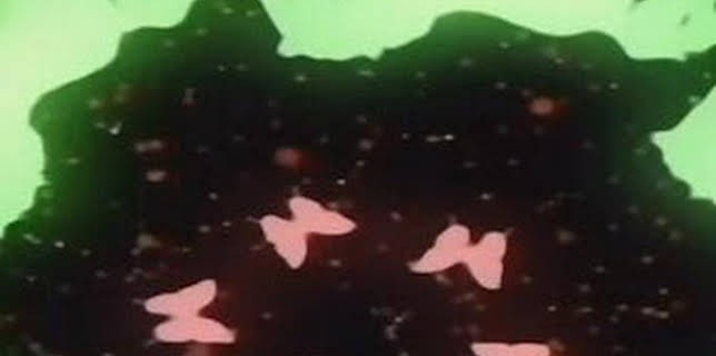 02:00: Melodías nocturnas de BabyTV | Baby TV | 12/8 2025