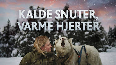 02:35: Kalde snuter, varme hjerter | NRK 1 | 4/4 2026