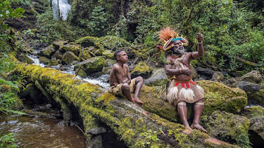 14:40: Die Hüter des Waldes (1/5) | Arte | 3/28 2026