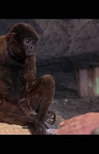 The Woolly Monkey as Mona