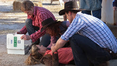 08:35: McLeods döttrar (S4 E10) (S4) | TV8 | 4/5 2026