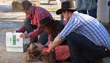 McLeods döttrar (S4 E10)