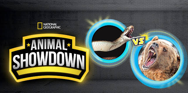 Animal Showdown