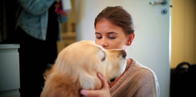 15:50: Emma: Dobbeltliv | NRK Super | 1/18 2026