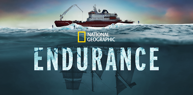 Endurance (2024)