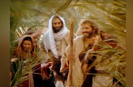 Life of Jesus: Matthew Chapters 16-23