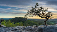 Sächsische Schweiz - Wald, Stein, Fluss – nonstop