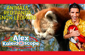 Alex & The Kaleidoscope: ANIMALS - RED PANDA & SNOW LEOPARD