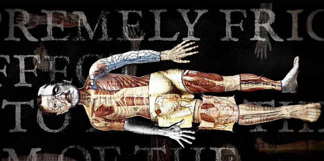 05:10: Zahlen schreiben Geschichte | Arte | 1/11 2026