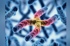 Zoology: Understanding the Animal World: Animal Reproduction: Genes and Environment