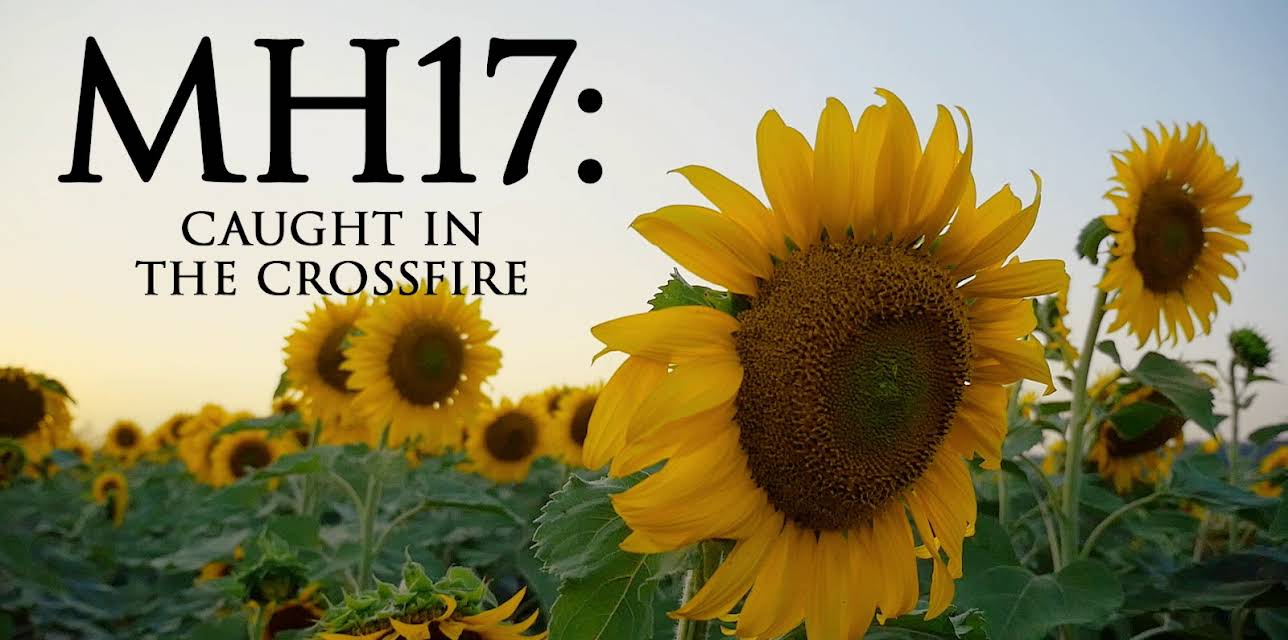 MH17: Caught in the Crossfire (2014)