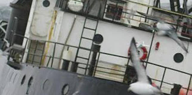 12:45: Pesca radical: ¿Qué haría Phil Harris? | Discovery | 2/24 2026