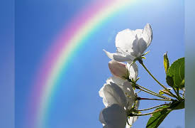 Chemistry and Our Universe: How It All Works: Wave Nature of Light