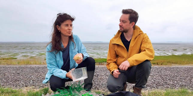 21:40: Natur am Limit. Vom Umdenken und Anpacken. | ARD Alpha | 12/1 2025