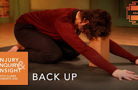 Injury, Inquiry and Insight: Back Up