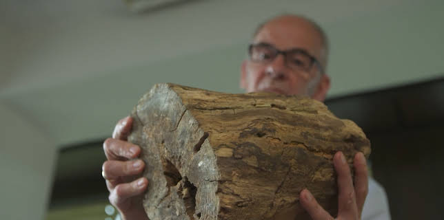 03:00: Ermittler! | ZDFneo | 3/19 2026