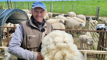 11:30: Die Nordreportage: Lammzeit, Schafschur, Reitabzeichen | Radio Bremen | 3/31 2026