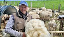 Die Nordreportage: Lammzeit, Schafschur, Reitabzeichen