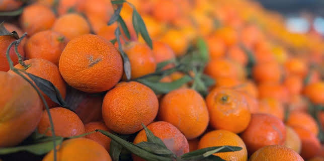 07:15: Die Welt der Zitrusfrüchte | Arte | 1/11 2026