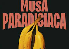 Musa Paradisíaca
