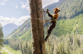 The Last Woodsmen, Season 1: If You Can't Stand the Heat