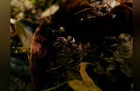 Almost Unsolved: Closure