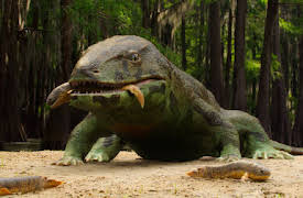 Life on Our Planet: Kapitel 1: The Rules of Life