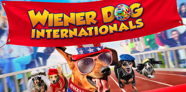 Wiener Dog Internationals (2017)