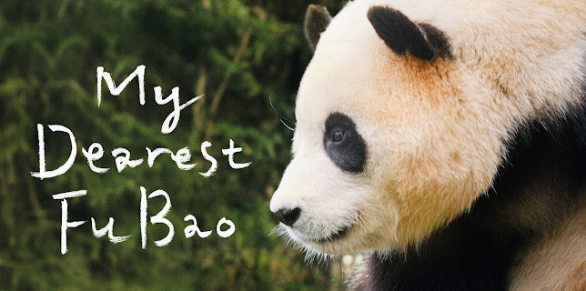 My Dearest Fu Bao (2024)