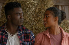 Beyond Black Beauty: Everybody Hurts