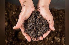 The Science of Gardening: Soil Preparation and Protection